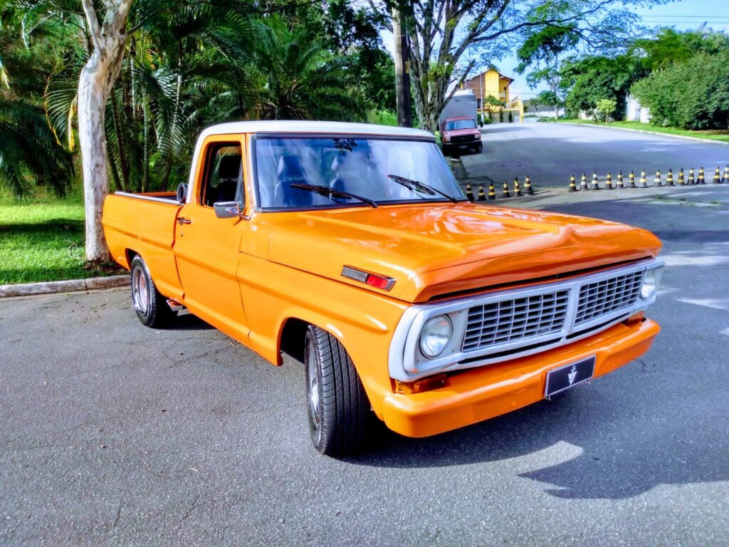 Ford F 100